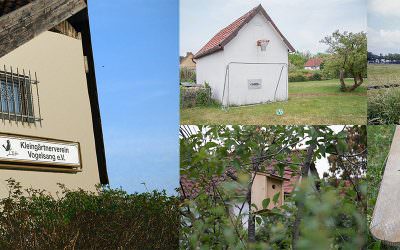Vacant allotment gardens – success story from Braunschweig